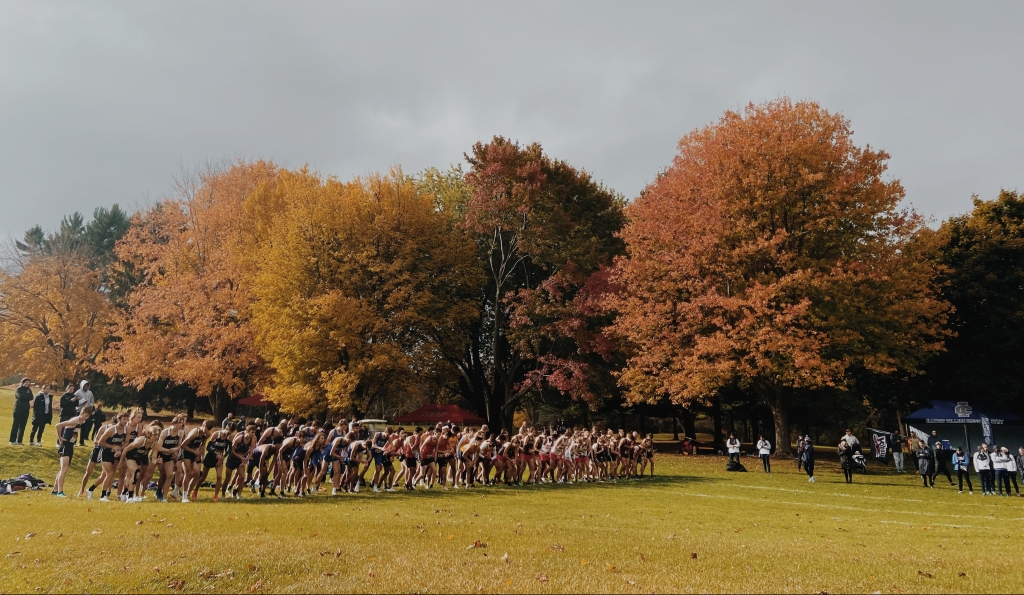A group of competitors are waiting for the gun to go off at the beginning of a cross country race, against an autumn backdrop.